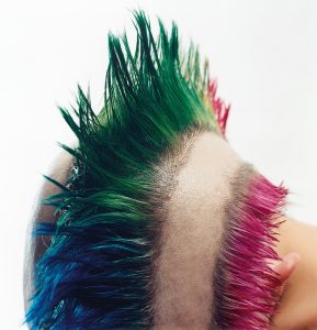 Ausstellung Haar - Macht - Lust 5 Ein Kopf mit bunter Punk-Frisur, halb Glatze, halb Haare